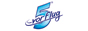 5vorFlug Logo