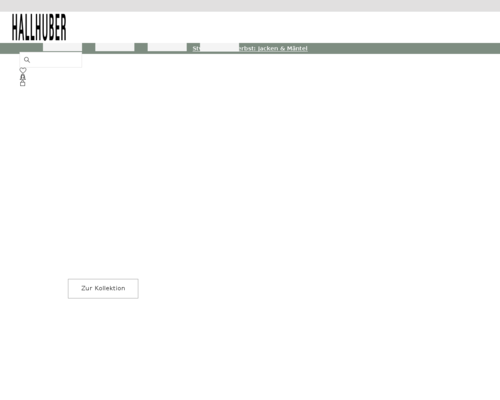 So sieht die Webseite von HALLHUBER aus