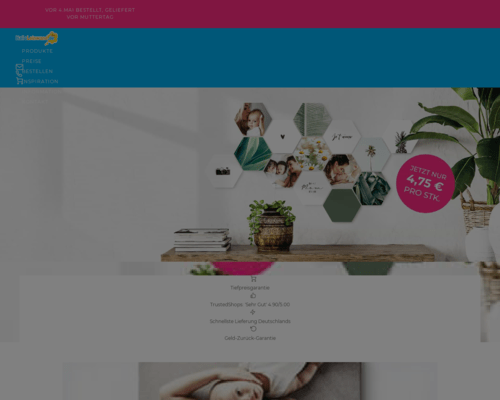 So sieht die Webseite von HalloLeinwand aus So sieht die Webseite von HalloLeinwand aus