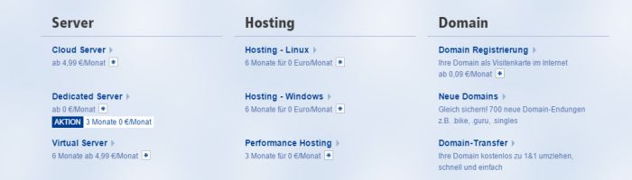 1und1 Hosting