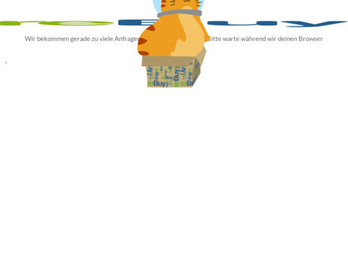 So sieht die Webseite von reBuy aus